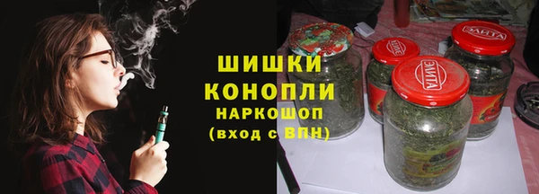PSILOCYBIN Козловка