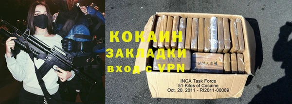 PSILOCYBIN Козловка
