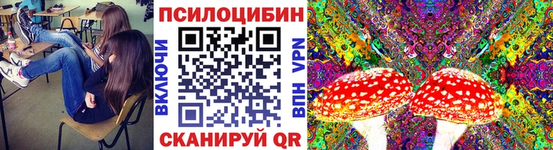 Купить закладки  Белый  Галлюциногенные грибы Magic Shrooms 